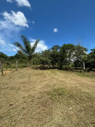 Terreno no Ramal de Paricatuba