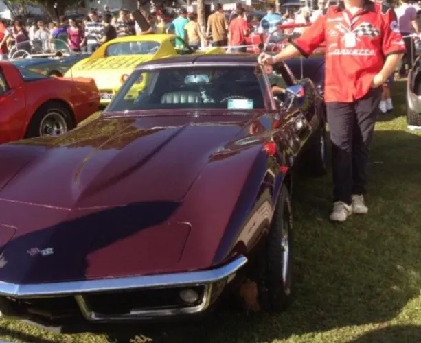 Chevrolet Corvette 5.7/ 6.0, 6.2 Targa/stingray 1991