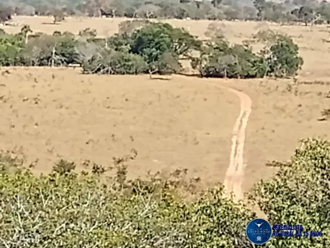 Fazenda à Venda em Perolândia Goiás | 38 Alqueires | Plantio e Pecuária