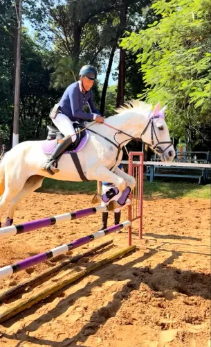 Égua para hipismo BH ( brasileira de hipismo) , tordilha, salta 1,20m, 14 anos
