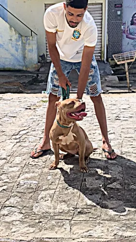 Pitmonster