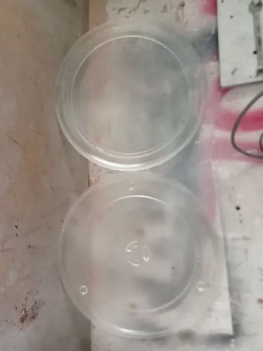 Pratos de microondas