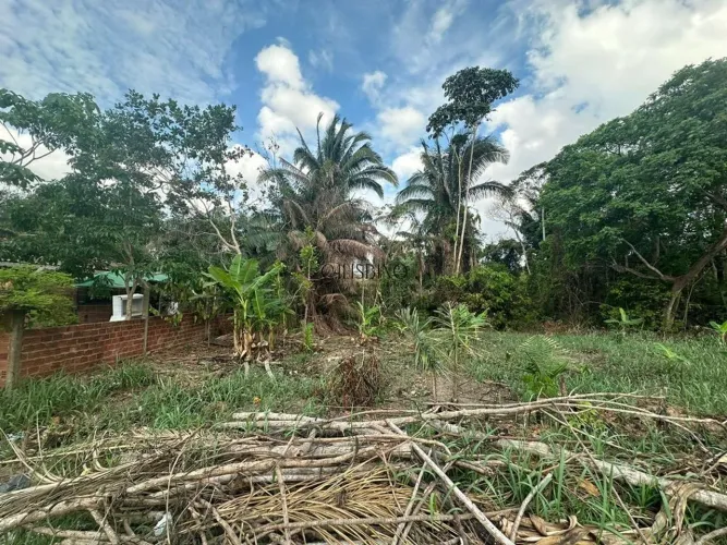 Terreno Zona Leste - Estuda-se Trocas