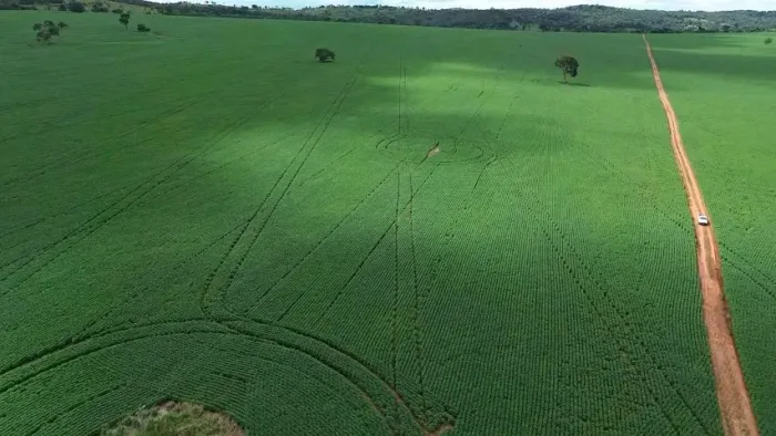 Fazenda 33 Alqueires, 26 Alq Plantando Soja, Água, 600 Metros, Rodovia, Aragoiânia.