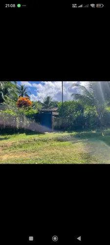 Vende-se sítio em Palmares com ótimo preço.Possui 4 quartos,2 banheiros,e cômodos variados