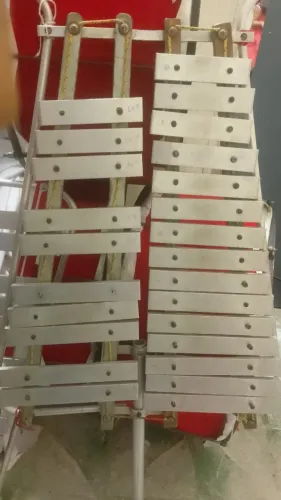 Lira 25 Teclas + 2 liras juvenis