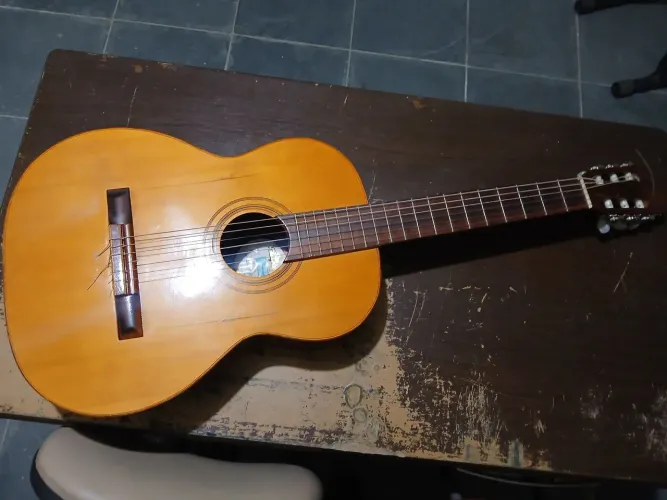 Violão Di Giorgio Estudante N° 18