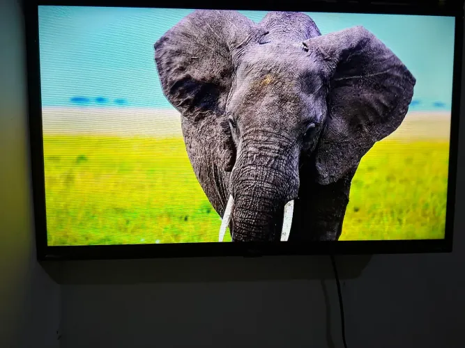 Televisão Philco - Roku