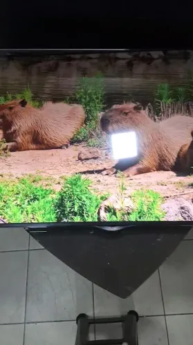 Tv LG 55 polegadas smartv sistema webos