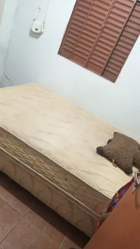 Cama