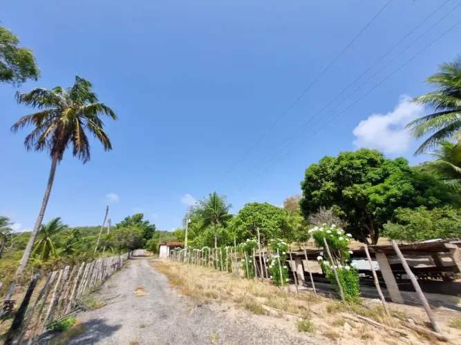 Atenção! Chácara à Venda na Barra de São Miguel próximo ao Chácaras da Barra Alagoas