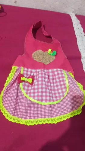 Vestido junino Pet