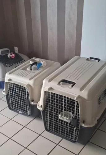 CAIXAS DE TRANSPORTE DE CACHORRO