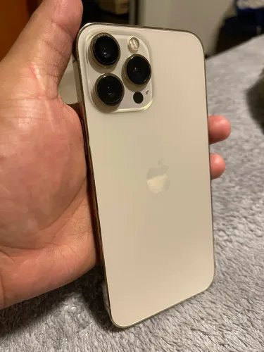 13 Pro Max