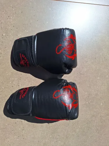 Muay Thai Boxe Kickboxing Luva 12 Oz