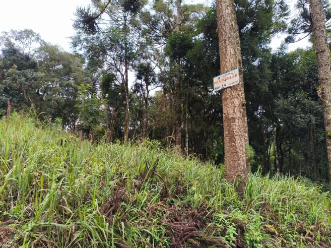 Terreno para formar chácara em Bocaiúva do Sul PR