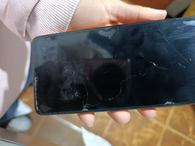 Celular 
