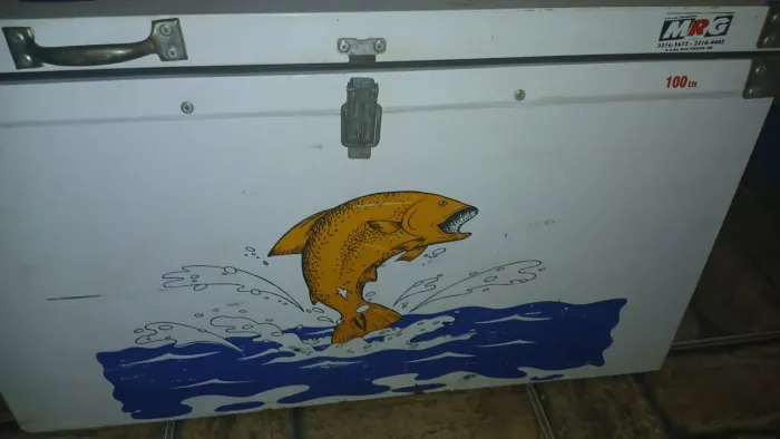  Vendo Caixa térmica 