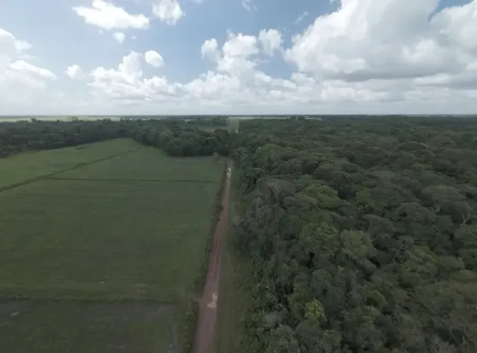 Castanhal estado Pará: Fazenda de 25 Hectares com Renda Ativa na BR-316.