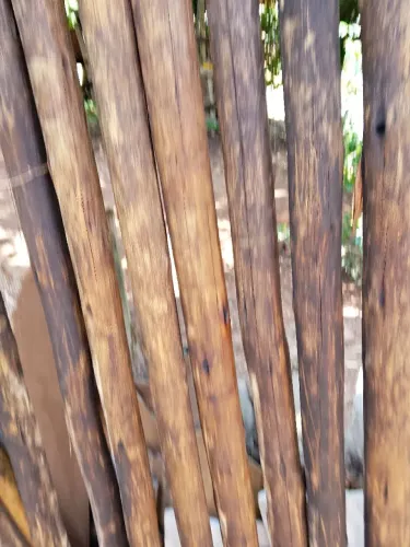 Pontalete Tratado