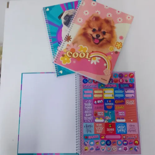 Kit com 5 cadernos de 1 matéria