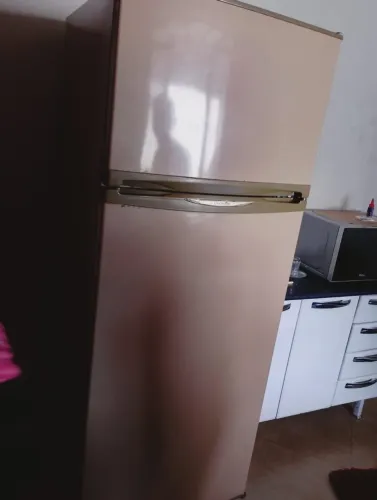 Vendo ou troco geladeira Electrolux 