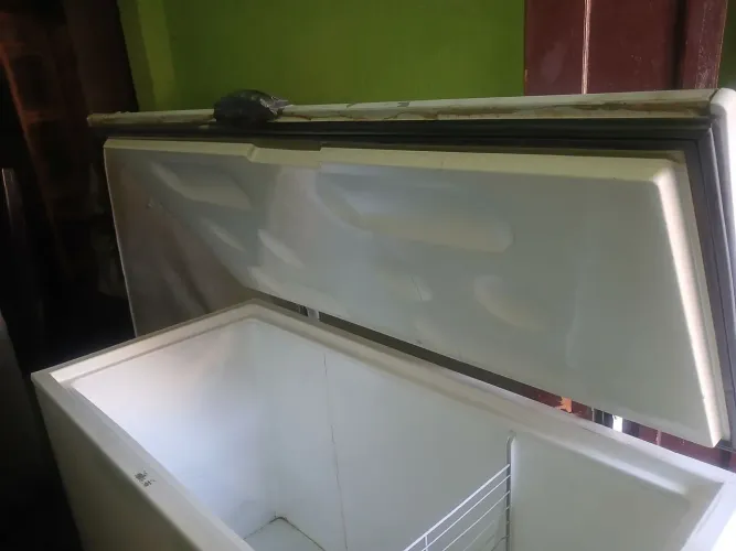 Freezer