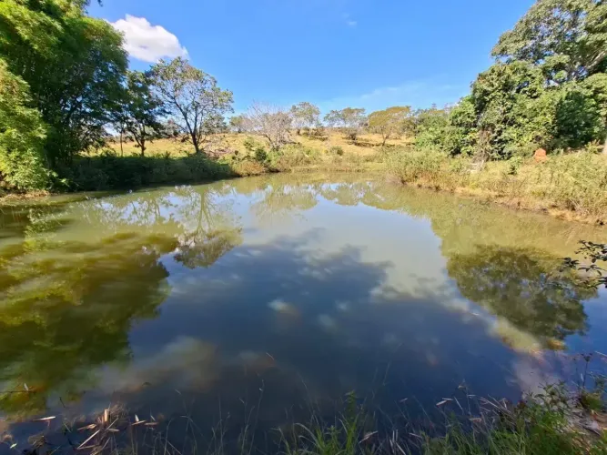 Fazenda a venda em Corumbá de Goiás