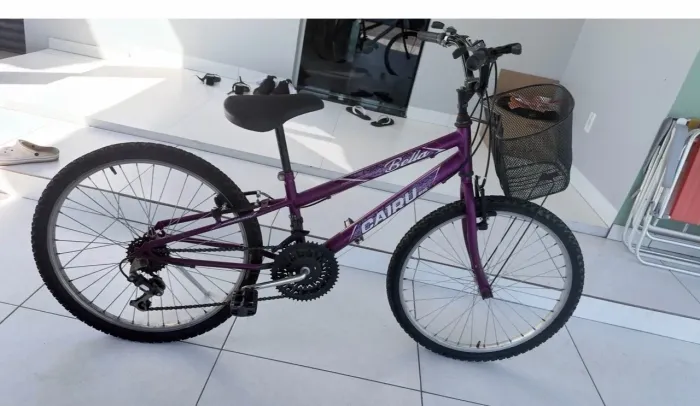 Bicicleta aro 24