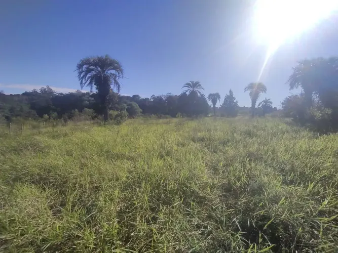 Terreno plano e cercado com 5.000 m² próximo do asfalto