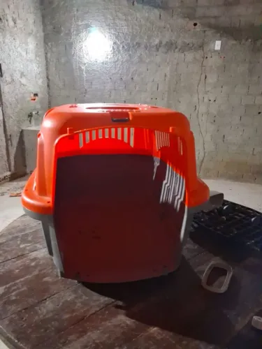 Caixa transportadora para cães