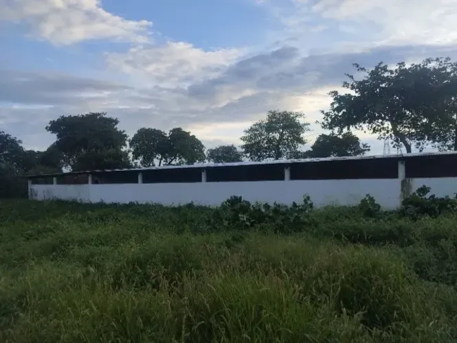 Coberta Metálica 30x5m - Estrutura Completa, Retire e Monte