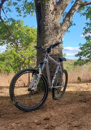 Bicicleta Aro 26