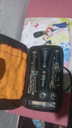 Clarinete shelter