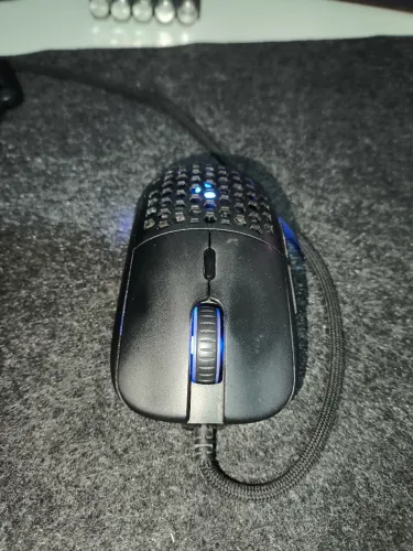 Mouse HIVE s