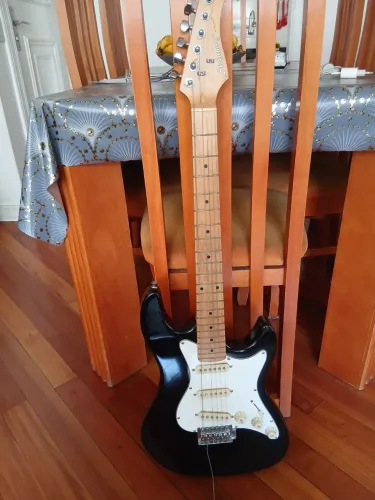 Guitarra Elétrica Strinberg