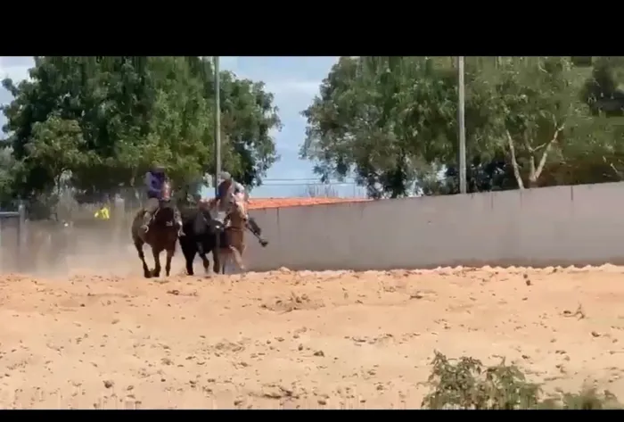 Égua de direita $5500