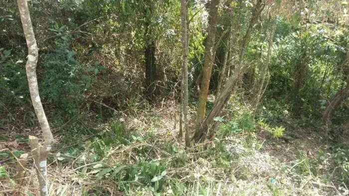 Vendo lote escriturado na Rua Arapés em Santana de Parnaíba, R$165.000,00 a vista.