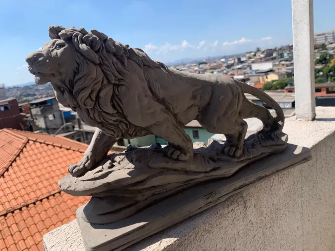 Leão na pedra