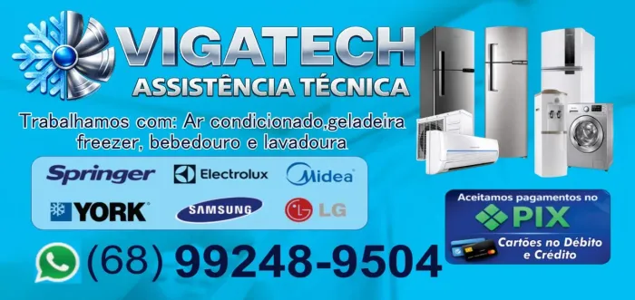 Assistência técnica especializada