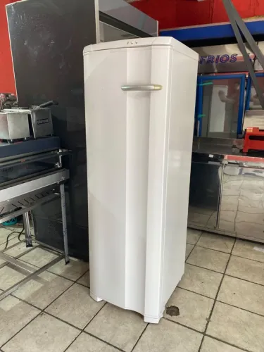 Freezer Vertical Pra Congelamento 300L 110V Electrolux com Gavetas