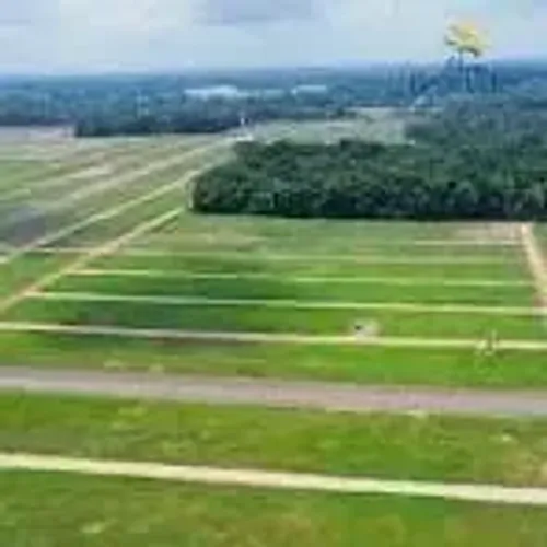 Imóvel para venda possui 250 metros quadrados em Benfica - Benevides - PA
