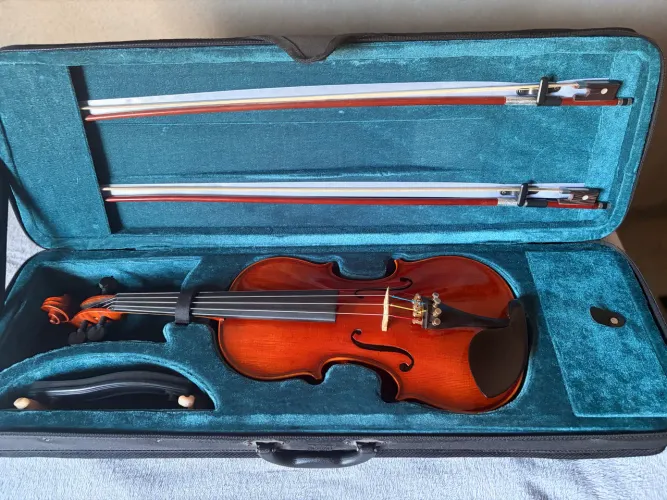 Violino Stewart- madeira nobre junto com a capa