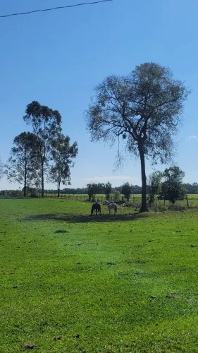 Serviço gerais em fazenda