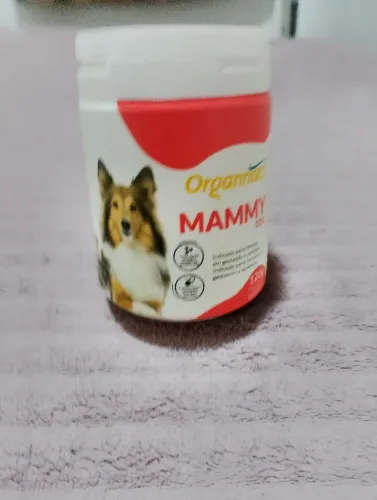 Mammy dog 