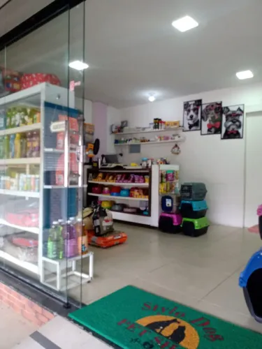 Repassando loja pet shop 