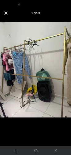 Arara dourada