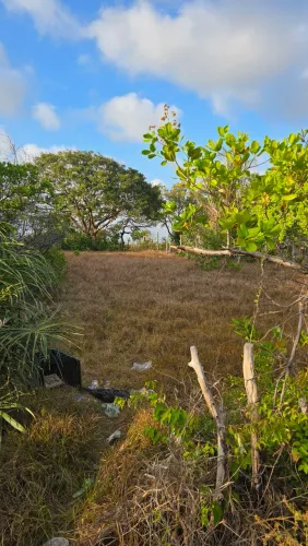 TERRENO EM BARREIRINHAS