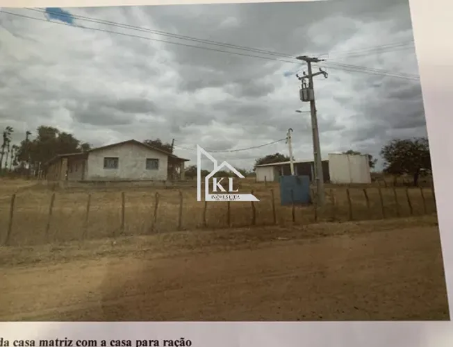 OPORTUNIDADE EM MOSSORÓ: Fazenda de 120 ha na beira da BR