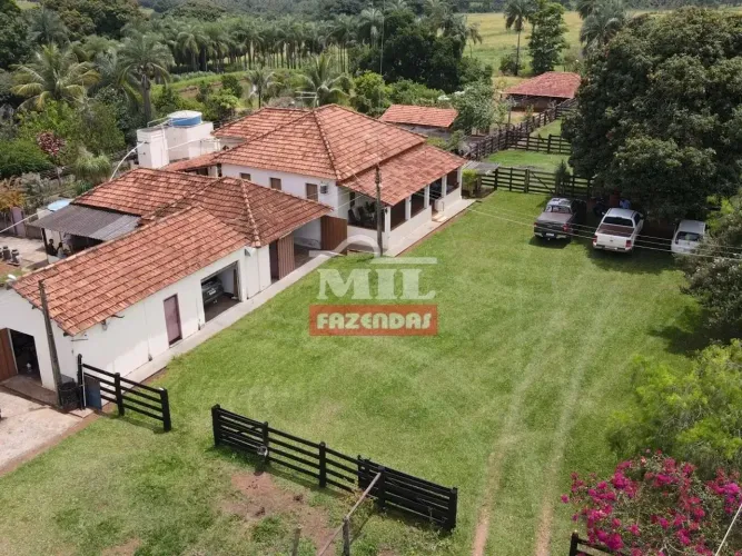Fazenda 124 alqueires (600 hectares) Prata - MG